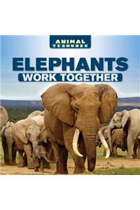 Elephants Work Together