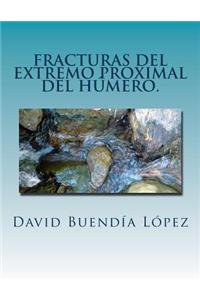 Fracturas del extremo proximal del humero.