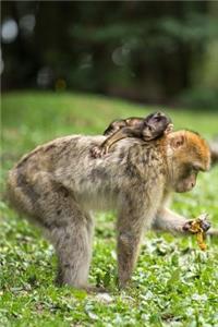 Mom and Baby Barbary Macaque Monkey Journal