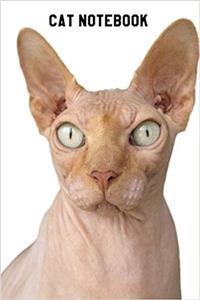 Cat Notebook