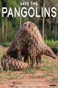 Pangolins (Save The) 2024 12 X 12 Wall Calendar