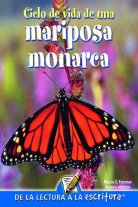 Ciclo de Vida de Una Mariposa Monarca