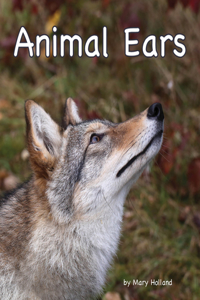 Animal Ears