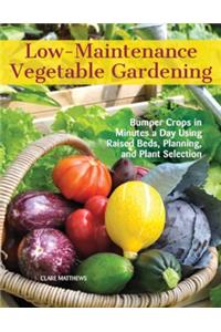 Low-Maintenance Vegetable Gardening