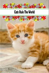 Cats Rule The World