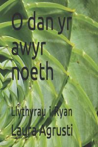 O dan yr awyr noeth: Llythyrau i Ryan