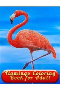 Flamingo Coloring Book for Adult