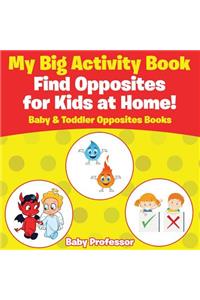 My Big Activity Book
