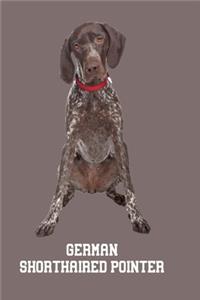 German Shorthaired Pointer