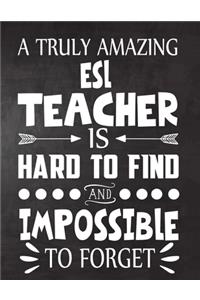 A Truly Amazing ESL Teacher is Hard to Find and Impossible To Forget