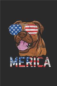 Merica Boxer
