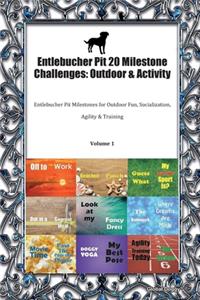 Entlebucher Pit 20 Milestone Challenges