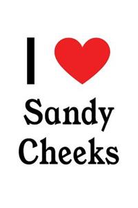 I Love Sandy Cheeks: Sandy Cheeks Designer Notebook