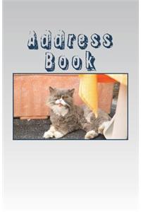 Address Book