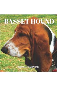 Basset Hound 2019 Wall Calendar