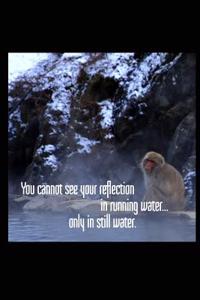 You Cannot See Your Reflection in Running Water, Only in Still Water