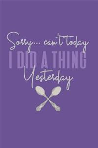 Sorry... Can't Today I Did a Thing Yesterday