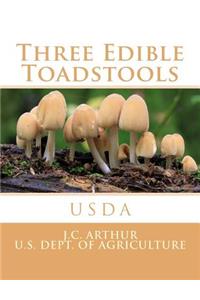Three Edible Toadstools
