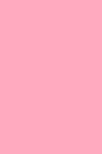 Pale Pink 190 - Cornell Notes Notebook