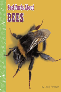 Fast Facts about Bees