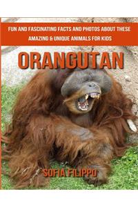 Orangutan