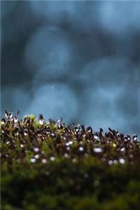 Moss Notebook