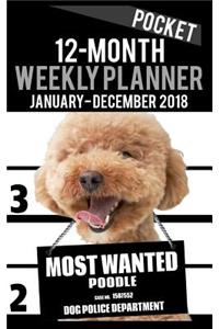2018 Pocket Weekly Planner - Most Wanted Poodle