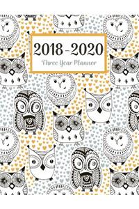 2018 - 2020 Three Year Planner