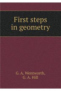 First Steps in Geometry