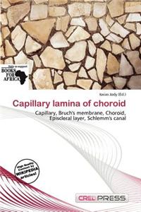 Capillary Lamina of Choroid