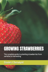 Growing Strawberries