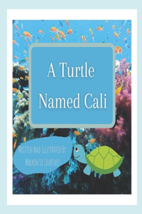 Turtle Named Cali