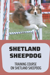 Shetland Sheepdog