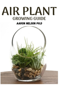 Air Plant Growing Guide