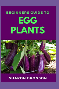 Beginners Guide To Egg Plants