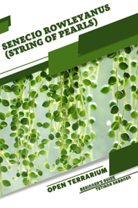 Senecio rowleyanus (String of Pearls)