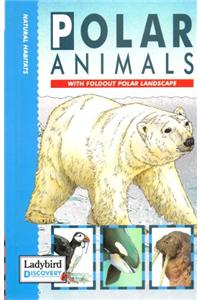 Polar Animals