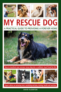 My Rescue Dog