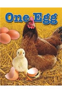 One Egg