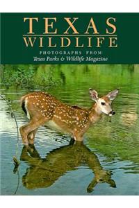 Texas Wild Life
