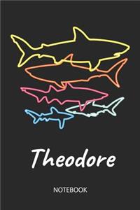 Theodore - Notebook