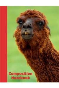 Composition Notebook