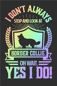 I Don't Always Stop and Look At Border Collie OH Wait, Yes I Do!