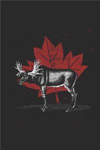 Canada - Moose Maple Leaf