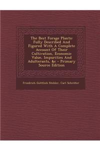 The Best Forage Plants