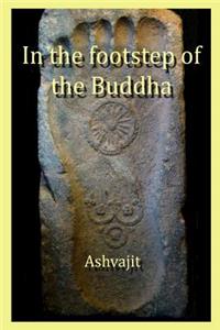 In the Footstep of the Buddha