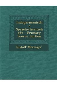 Indogermanische Sprachwissenschaft - Primary Source Edition