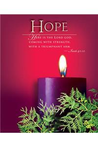 Advent Sunday 1 Hope Bulletin 2014, Large (Package of 50)