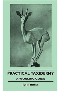 Practical Taxidermy - A Working Guide