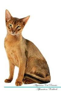 Abyssinian Cat Affirmations Workbook Abyssinian Cat Presents
